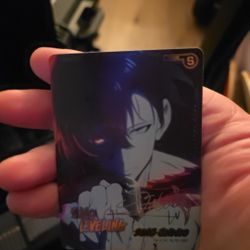 Mapniverse Solo Leveling Sung Jin Woo 