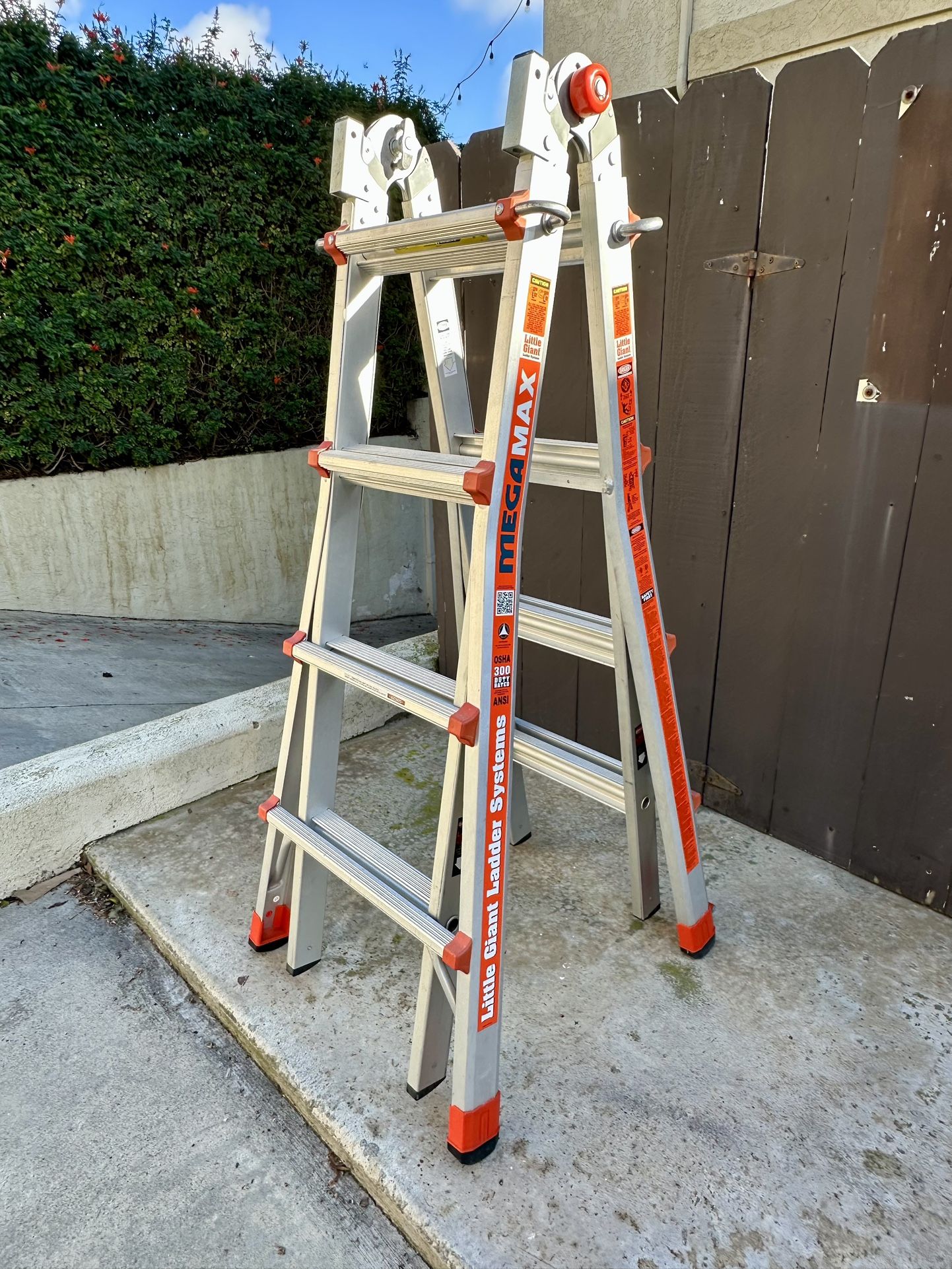 Multi-position ladder