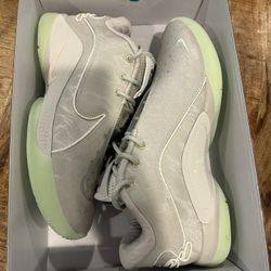 Nike LeBron XXII 22 Dunkman Light Bone Pearl Vapor Green NEW Shoes Men's Size 10