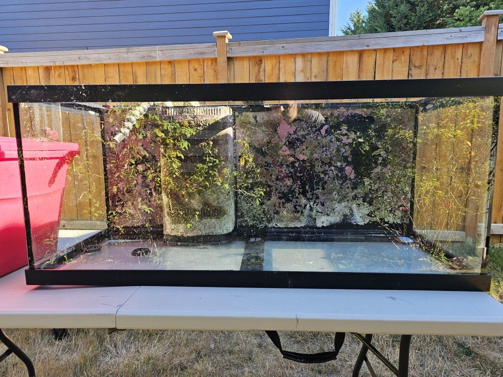 75 Gallon Aquarium (Comes With Stand)
