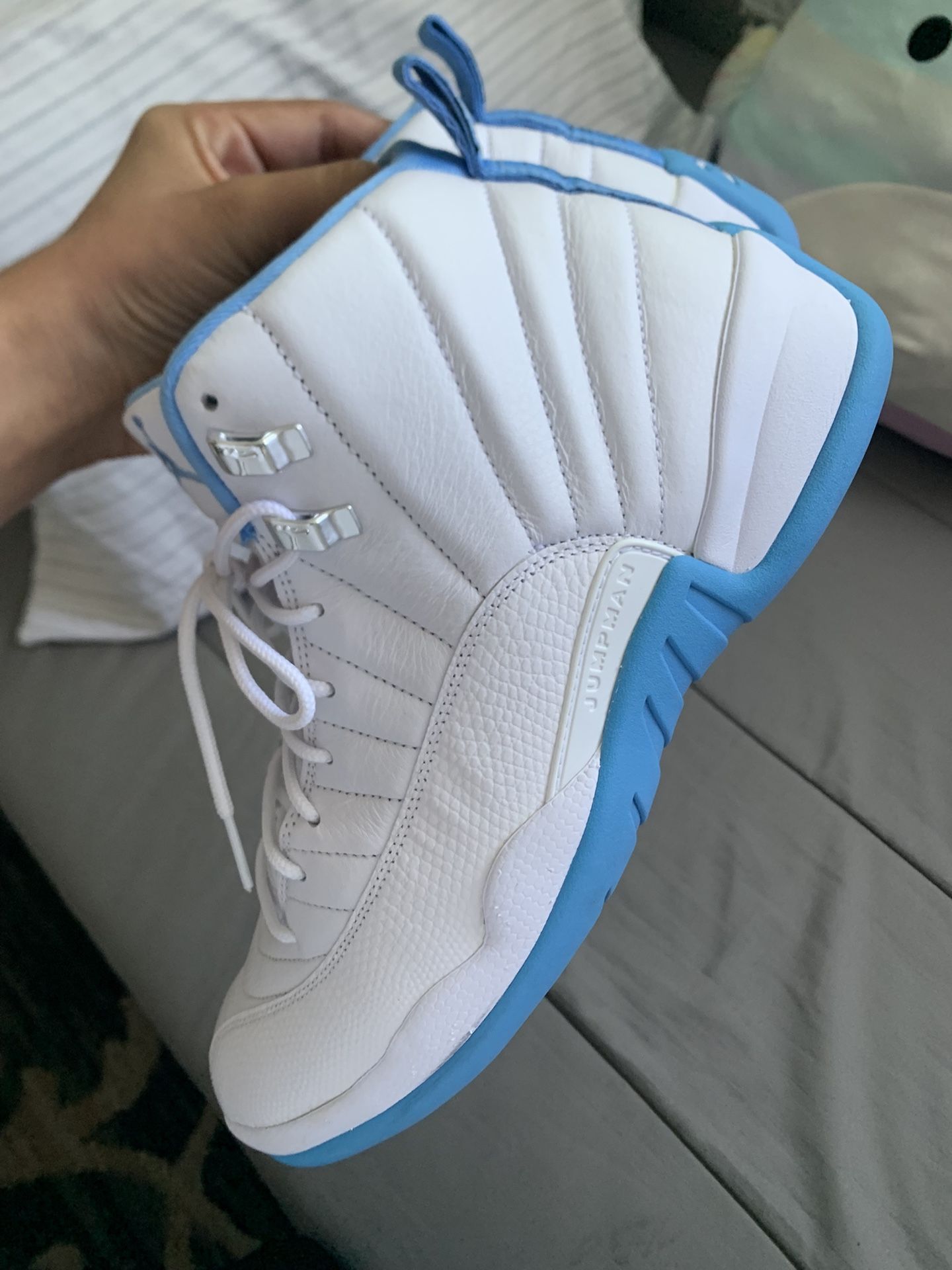 Jordan 12 Size 11