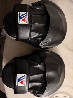 Winning punchers mitts