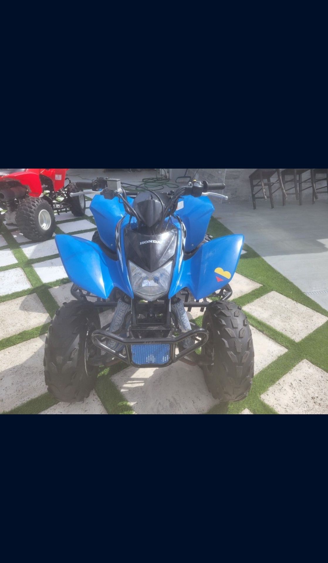 2019 Honda TRX 250 X