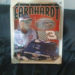 Dale Earnhardt 