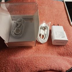 Charger For IPhone And Earbuds