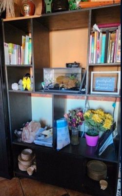 Black Shelf