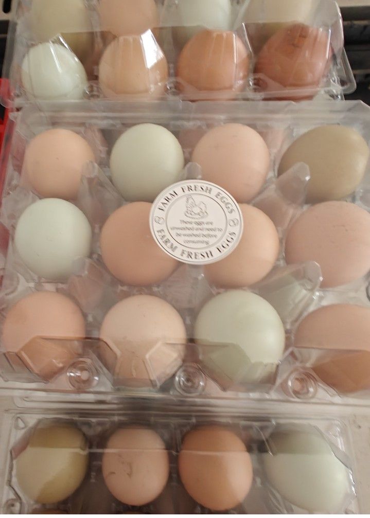 Unwashed Eggs