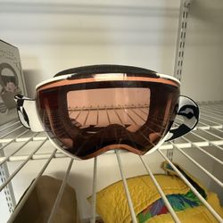 Adult Ski Goggles