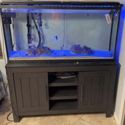 55 Gallon Tank With Stand