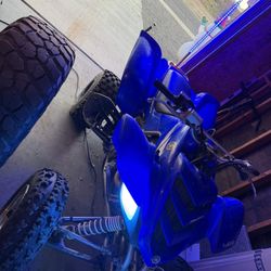 I Have A 2006 Yamaha Raptor 660 And A Sandrail Both For 3500 