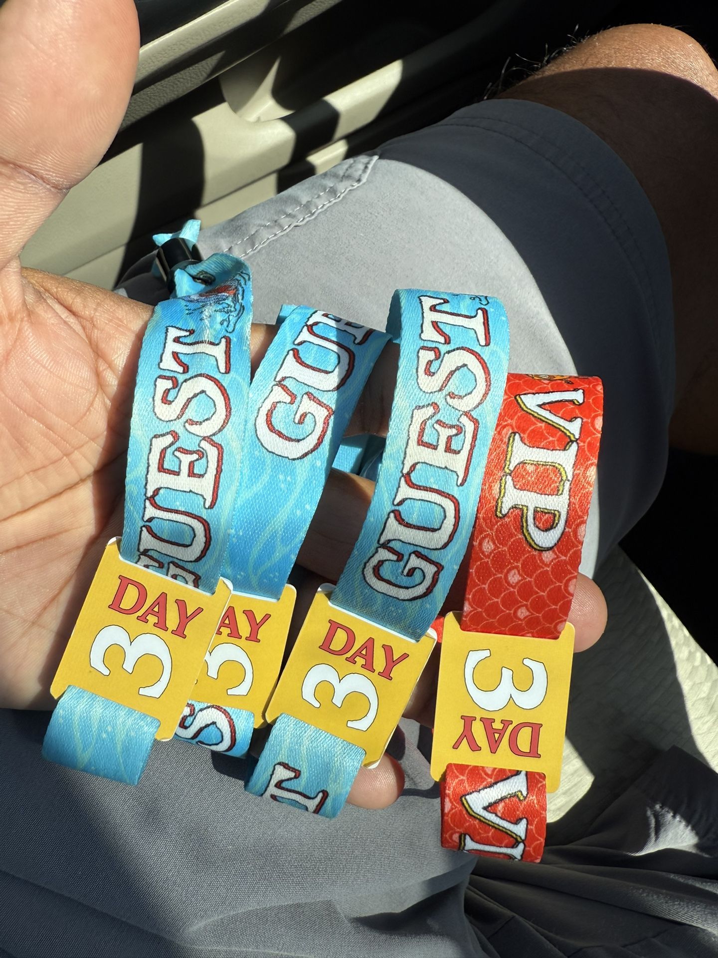 SummerSmash 2025 SUNDAY PORTION GUEST,GA, OR VIP WRISTBANDS $250 Each 