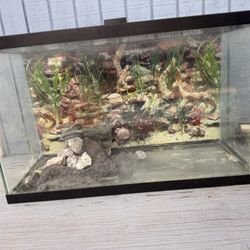 Used 29-30 Gallon Aquarium Tank + Accessories – Sold As-Is