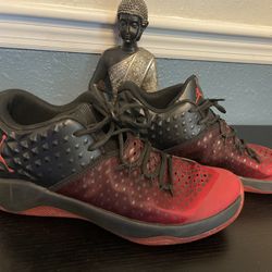 Men’s Nike Jordan Shoes Size 12 