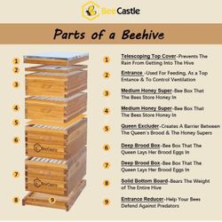 Bee Keeping Tower