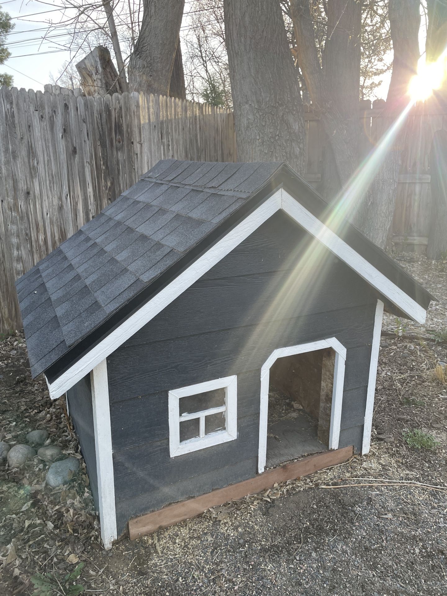 Real Dog House