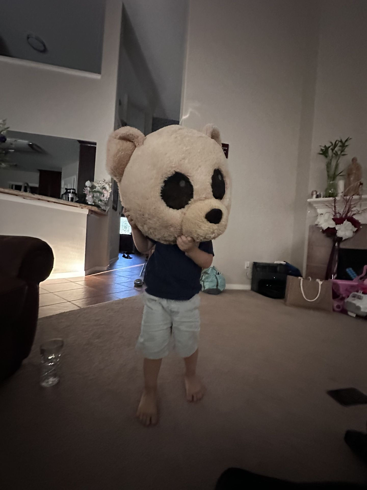 Big Teddy Bear Heads Mask Custom