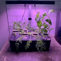 Hydroponics Countertop Growing System 