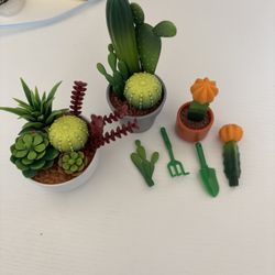 Bundle Of Cactus Plants Mini Brands 