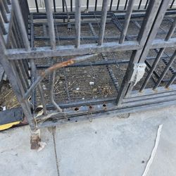 Dog Cage Wear And Tear 50 For Both