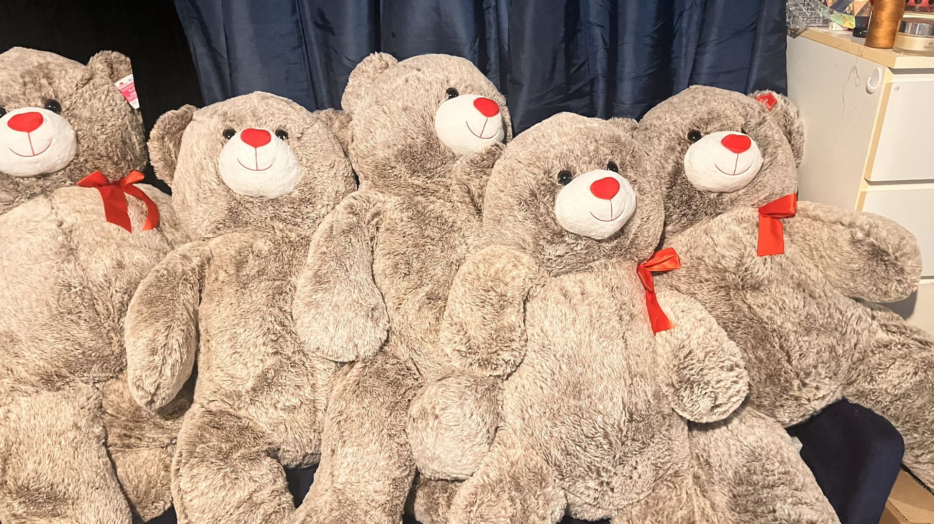 Big Teddy Bear Plush
