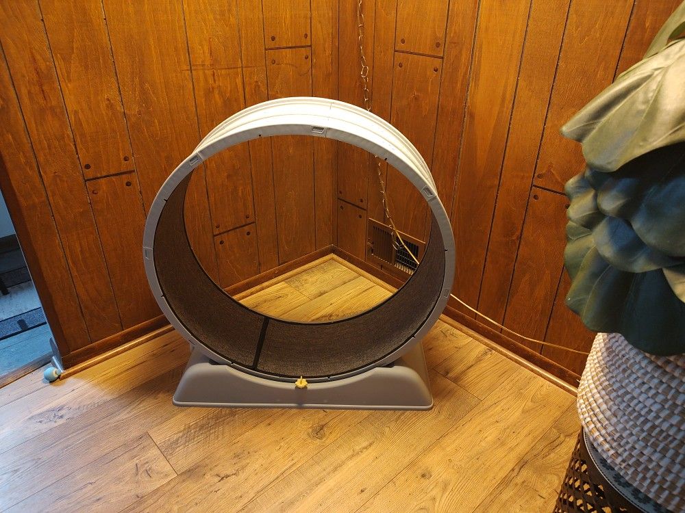 Cat Exercise Wheel Very Good Condition Pick Up in Orland Park Illinois