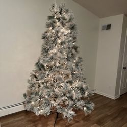 Christmas Tree 