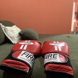 Fighting Gloves