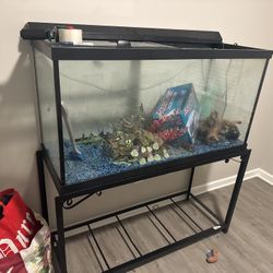 Fish Tank 