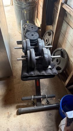 Bench/bar/weights