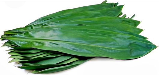 Ti leafs