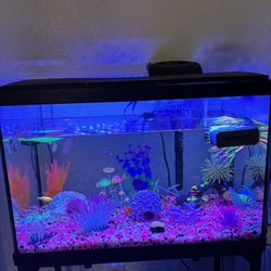 20 Gallon Fish Tank And Stand