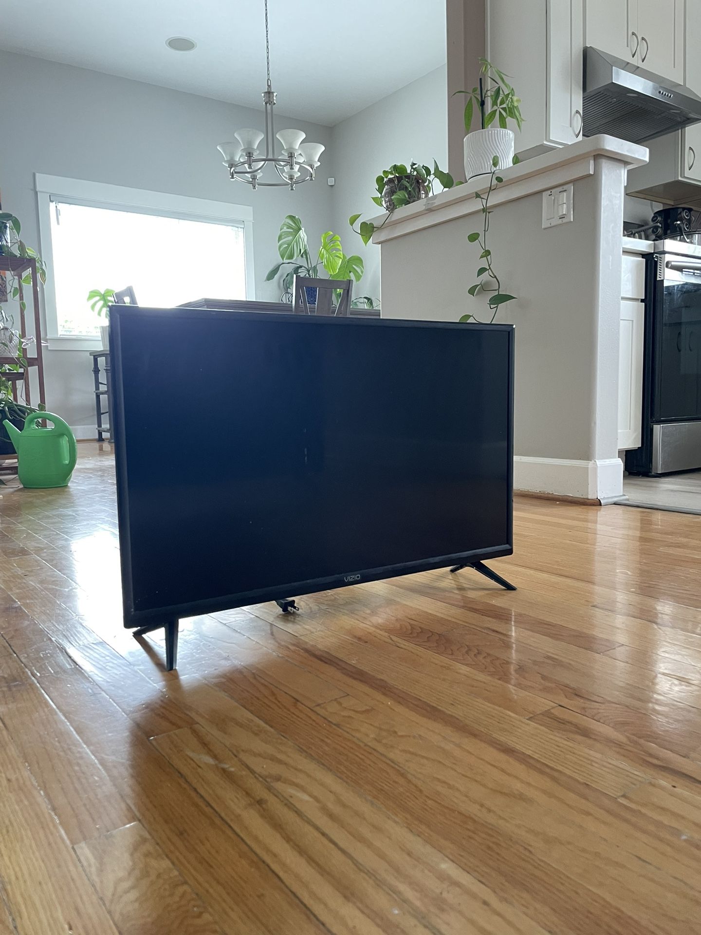 Vizio Roku 32in Flat Screen