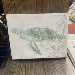 Turtle Pictures