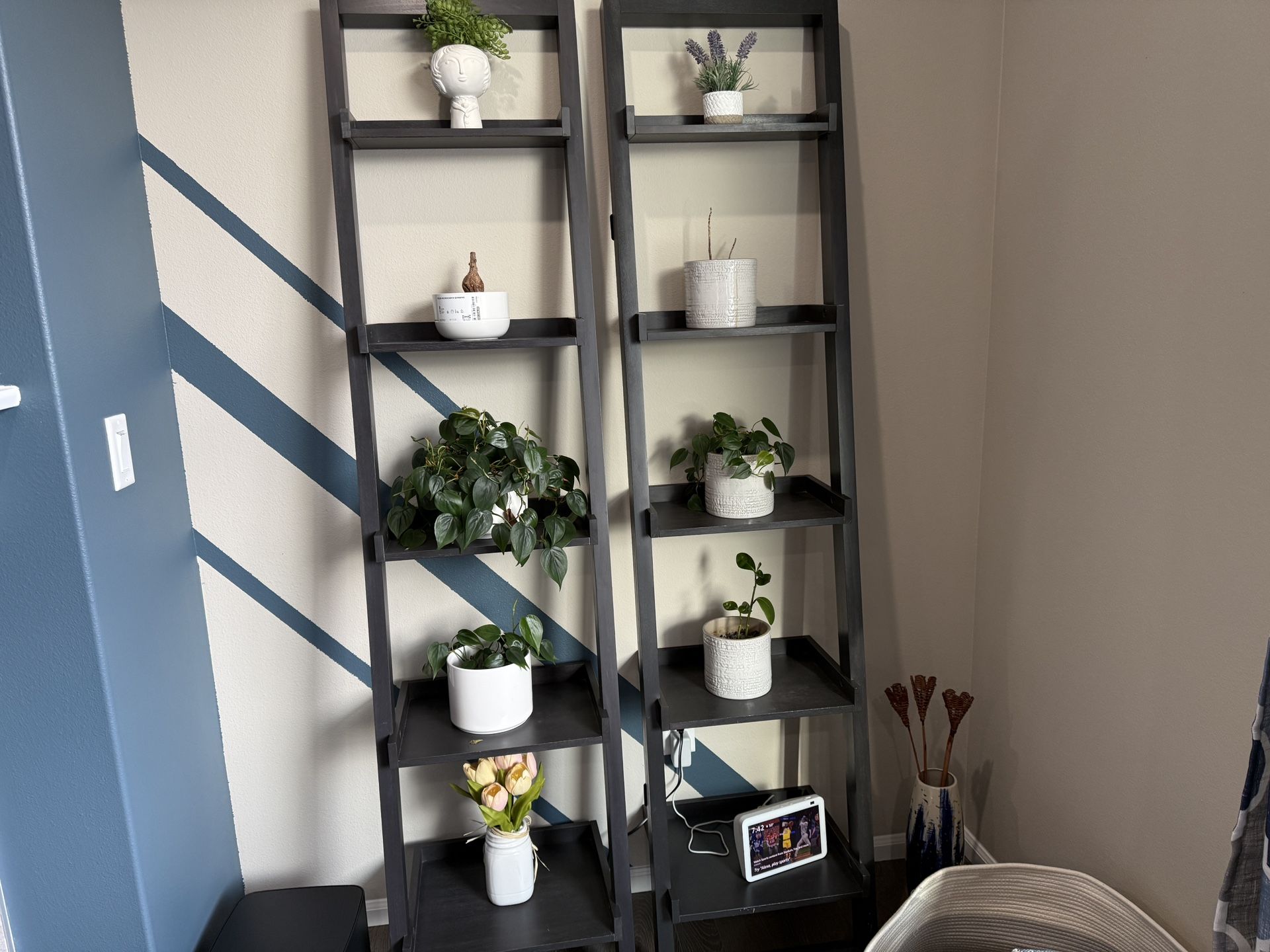 Modern Black Ladder Bookshelf / Display Shelf