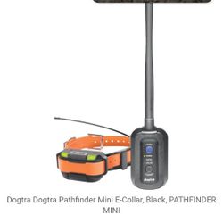 Dogtra Pathfinder Mini