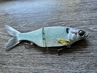 KBG - 9” TSG Colorway 020 - 9 Inch Swimbait - Chad Shad