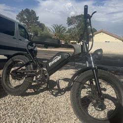 Freego Fat Tire E Bike 