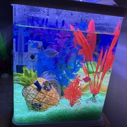 5 Gallon GLOFISH TANK 
