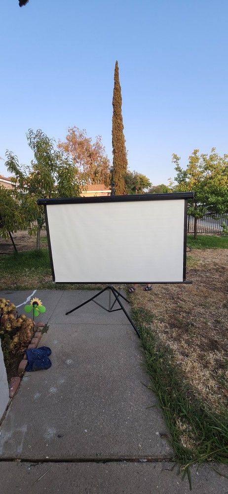 Projector Screen