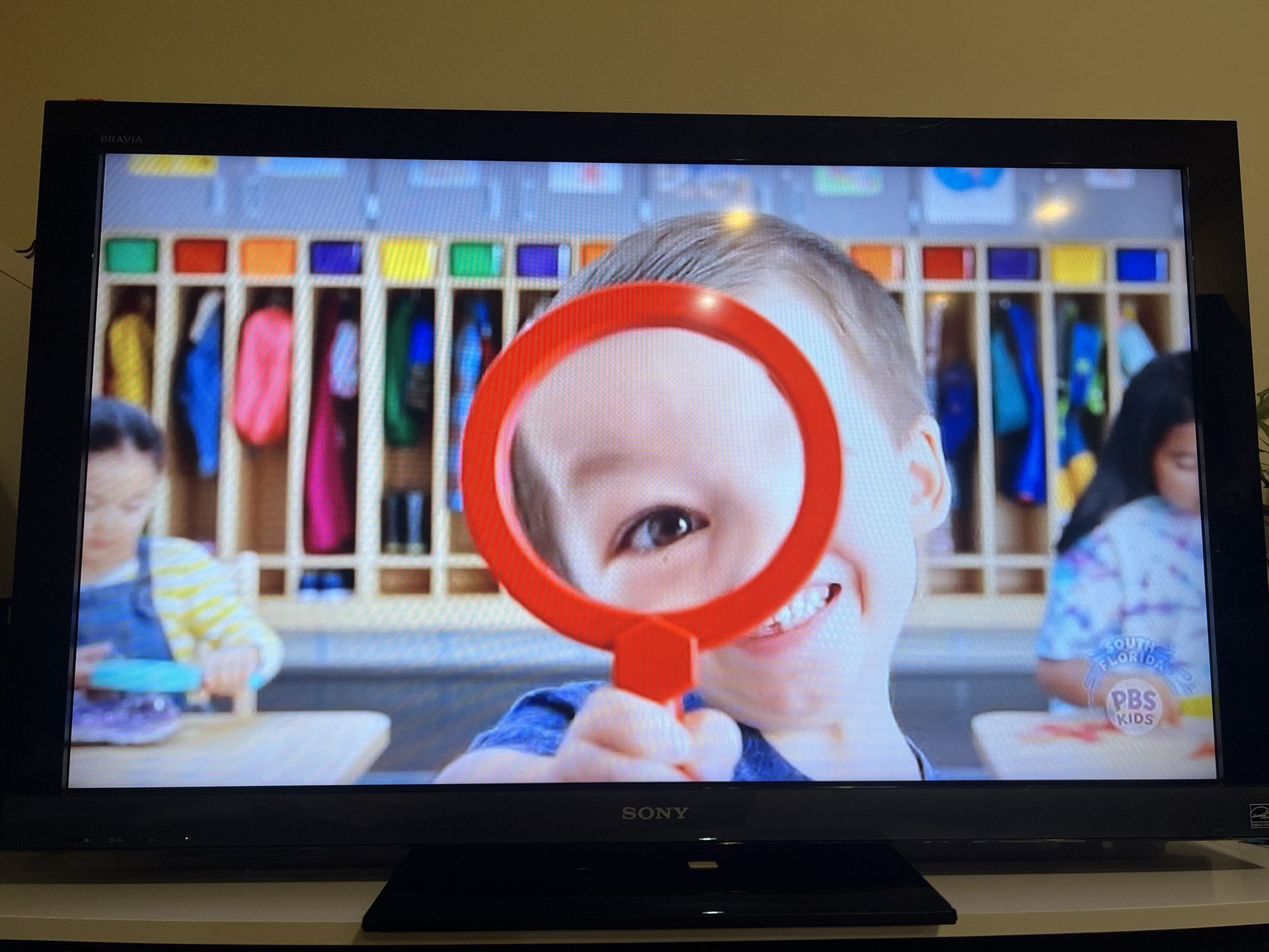 Sony 46 Inch LCD Tv
