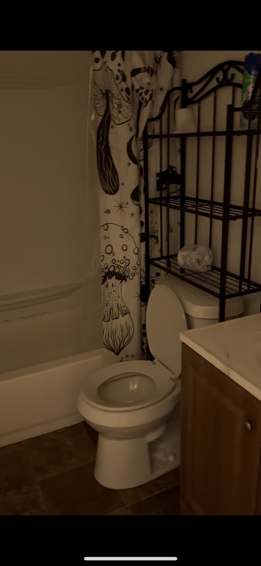 3 Tier Bathroom Organizer/Shelf