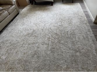 Area Rug  Size 9*12   40$