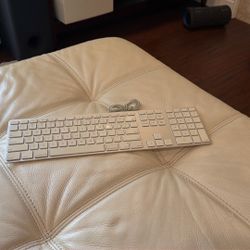 Apple A1243 Full Size USB Aluminum Keyboard 