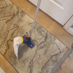 Pool Vacuum