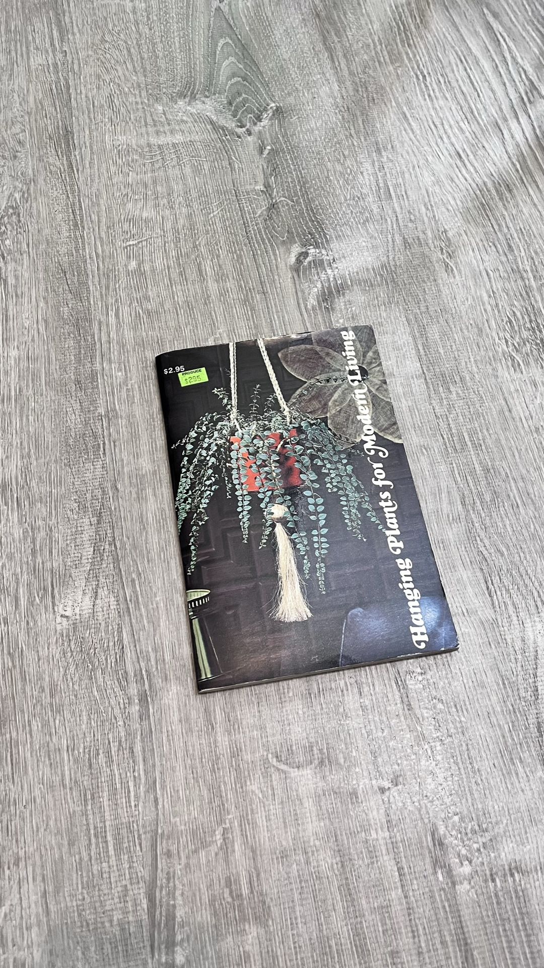 Vintage Hanging Plants for Modern Living Booklet 1975 Book Ferns Pothos Plant