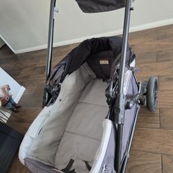 Stroller Wagon.