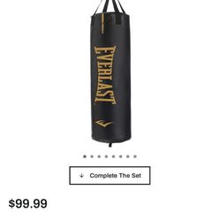 Everlast Punching Bag and Stand