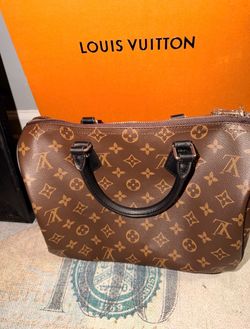 Louis Vuitton Monogram Bag