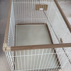 Beautiful Dog Kennel 