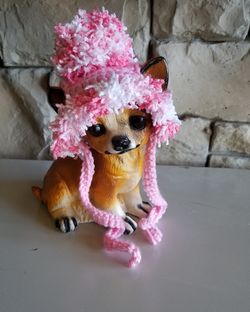 Dog beanie